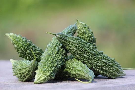 Fresh Karela