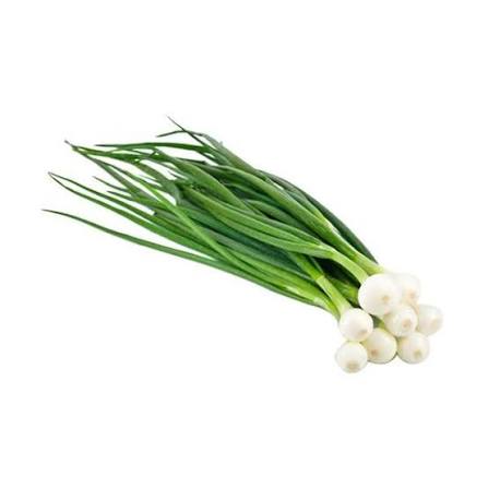Fresh Spring Onion